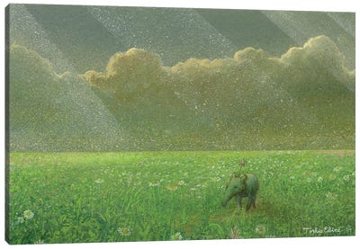 Into Somewhere Dream Canvas Art Print - Tapirs