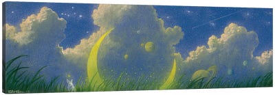 Planet Plain Canvas Art Print - Comet & Asteroid Art
