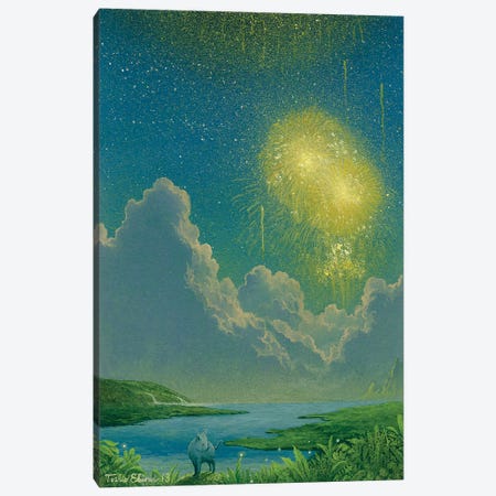 Fireworks Of Firefly Pass Canvas Print #TSE93} by Toshio Ebine Canvas Wall Art