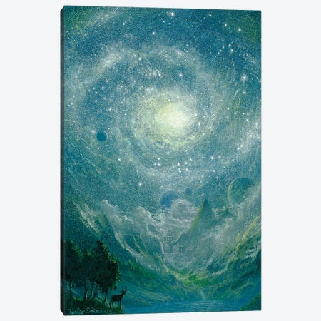 Star Gate Of The Valley Canvas Print #TSE95} by Toshio Ebine Canvas Print