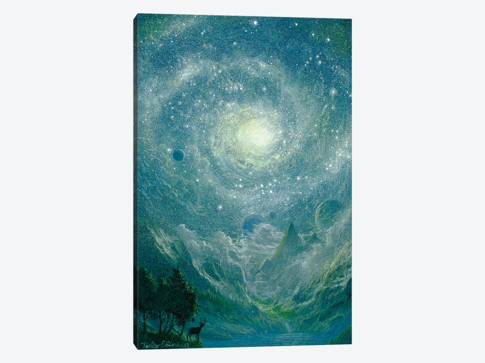 Star Gate Of The Valley by Toshio Ebine 1-piece Canvas Wall Art