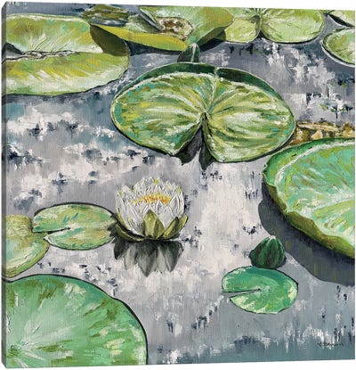 Water Lilies II Canvas Art Print - Tanya Stefanovich