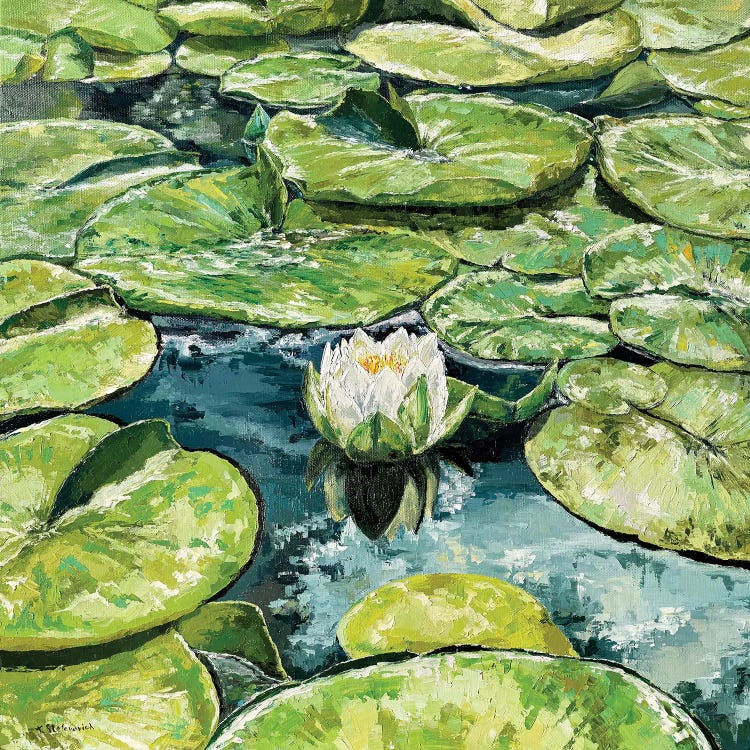 Water Lilies