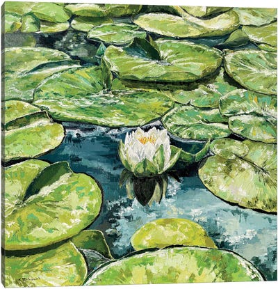 Water Lilies Canvas Art Print - Tanya Stefanovich