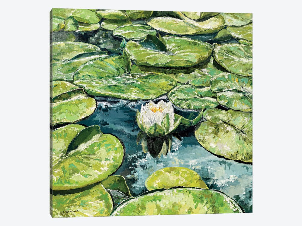 Water Lilies by Tanya Stefanovich 1-piece Canvas Art Print