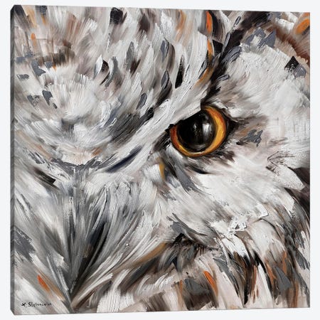 Owl Canvas Print #TSF44} by Tanya Stefanovich Canvas Art Print