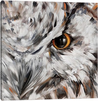 Owl Canvas Art Print - Tanya Stefanovich