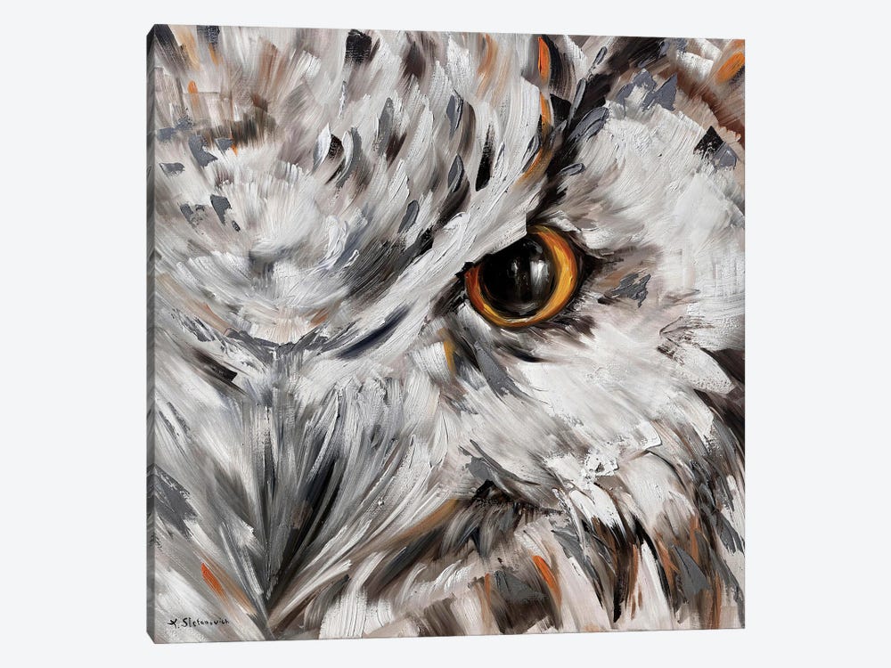 Owl by Tanya Stefanovich 1-piece Canvas Artwork