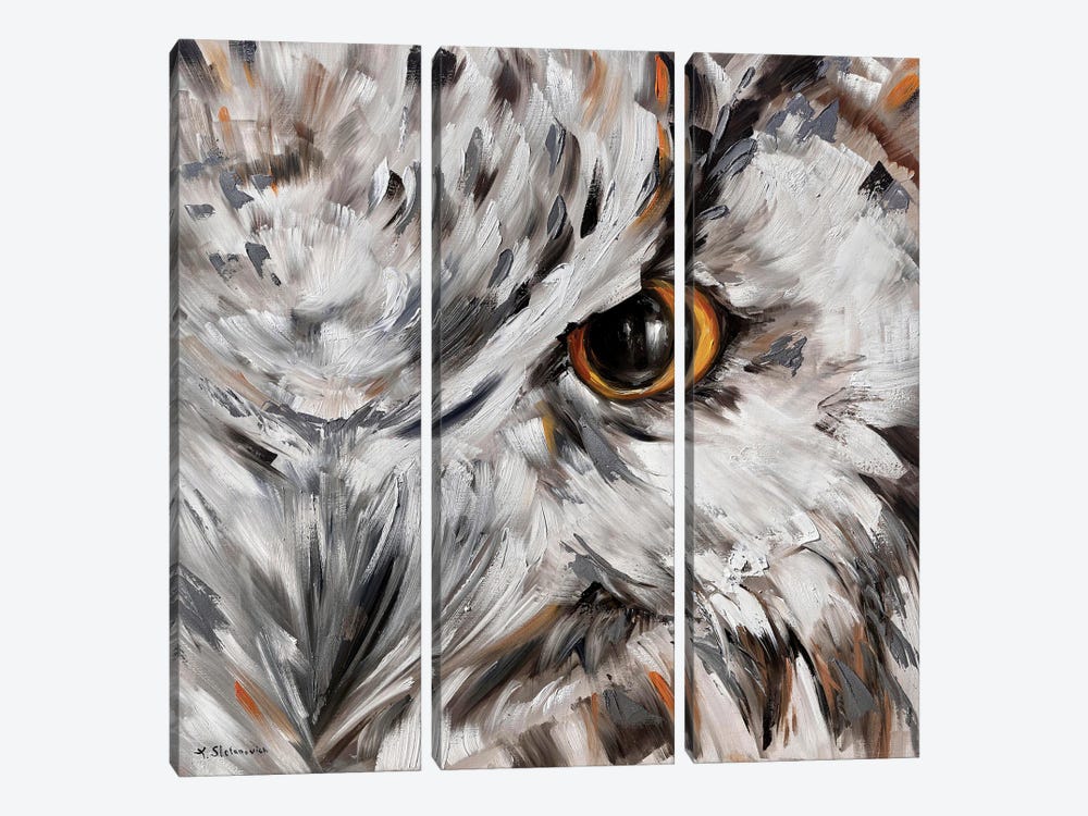 Owl by Tanya Stefanovich 3-piece Canvas Artwork