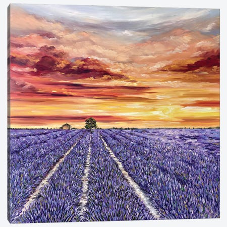 Lavender Field Canvas Print #TSF49} by Tanya Stefanovich Canvas Wall Art