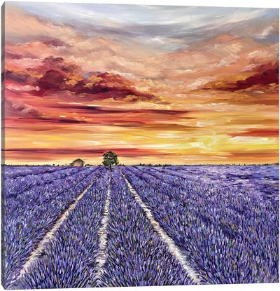 Lavender Field Canvas Art Print - Tanya Stefanovich