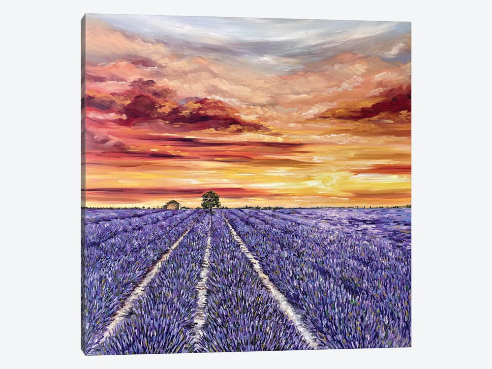 Lavender Field by Tanya Stefanovich 1-piece Canvas Print