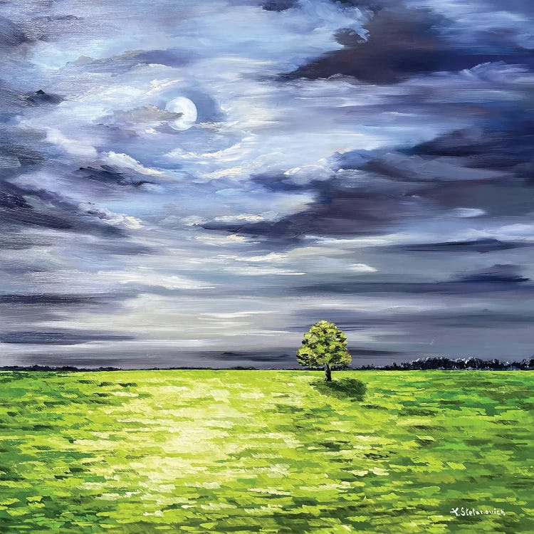 Moonlight Field