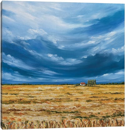 Wheat Field Canvas Art Print - Tanya Stefanovich