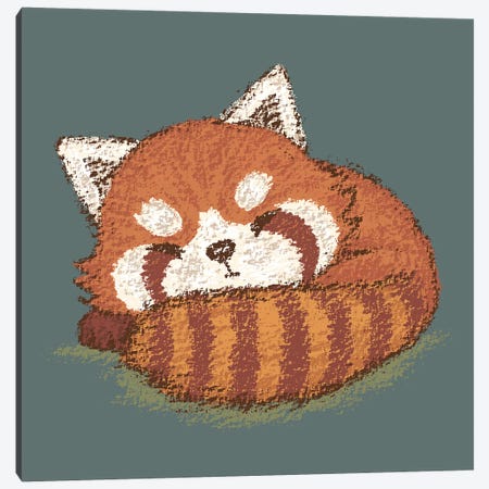 Red Panda Sleeping Canvas Print #TSG100} by Toru Sanogawa Canvas Art