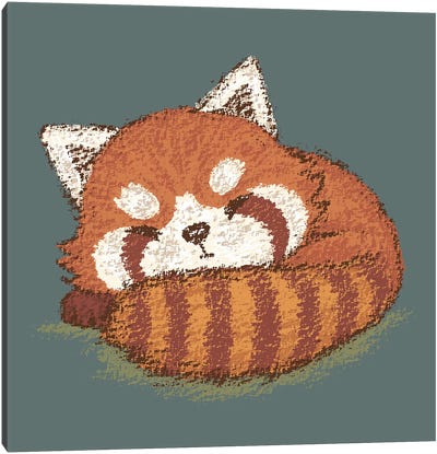 Red Panda Sleeping Canvas Art Print - Red Panda Art