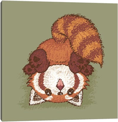 Red Panda Turn Over Canvas Art Print - Red Panda
