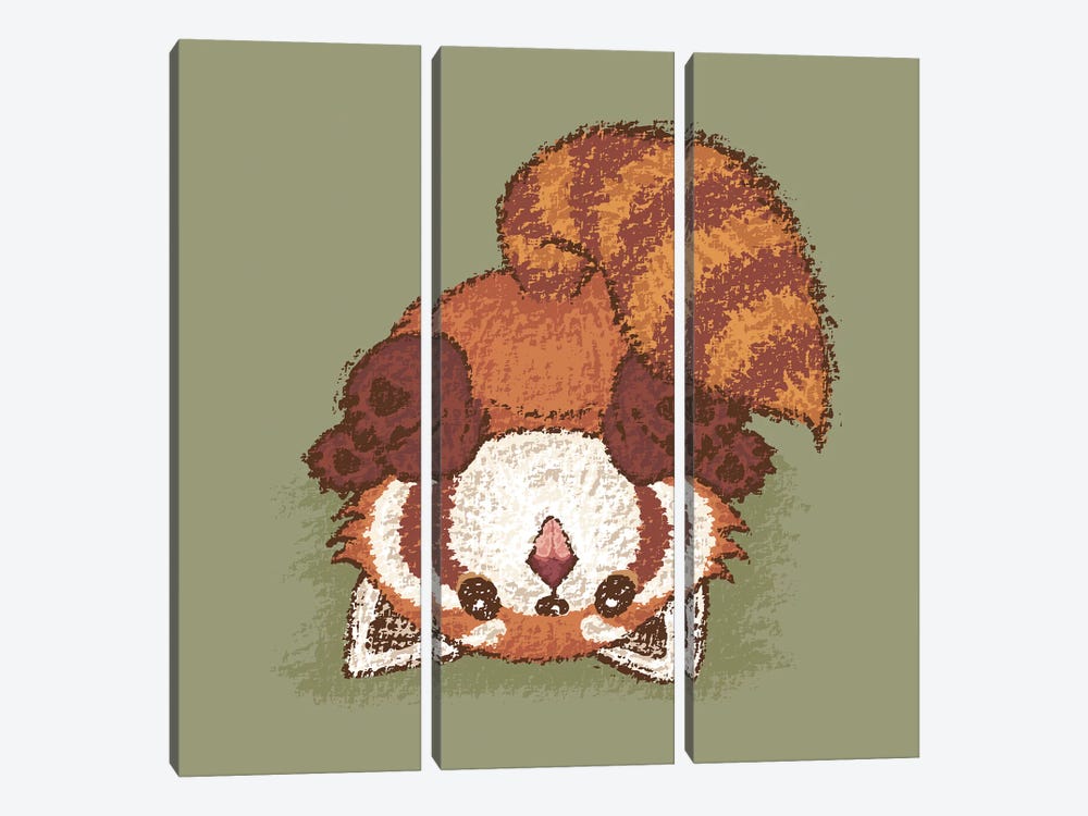 Red Panda Turn Over by Toru Sanogawa 3-piece Canvas Print