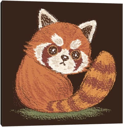 Red-Panda Look Back Canvas Art Print - Toru Sanogawa