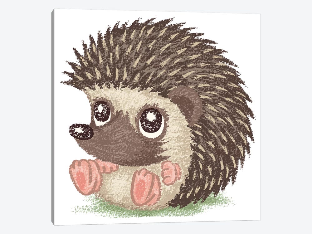 Round Hedgehog by Toru Sanogawa 1-piece Canvas Print