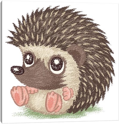 Round Hedgehog Canvas Art Print - Toru Sanogawa