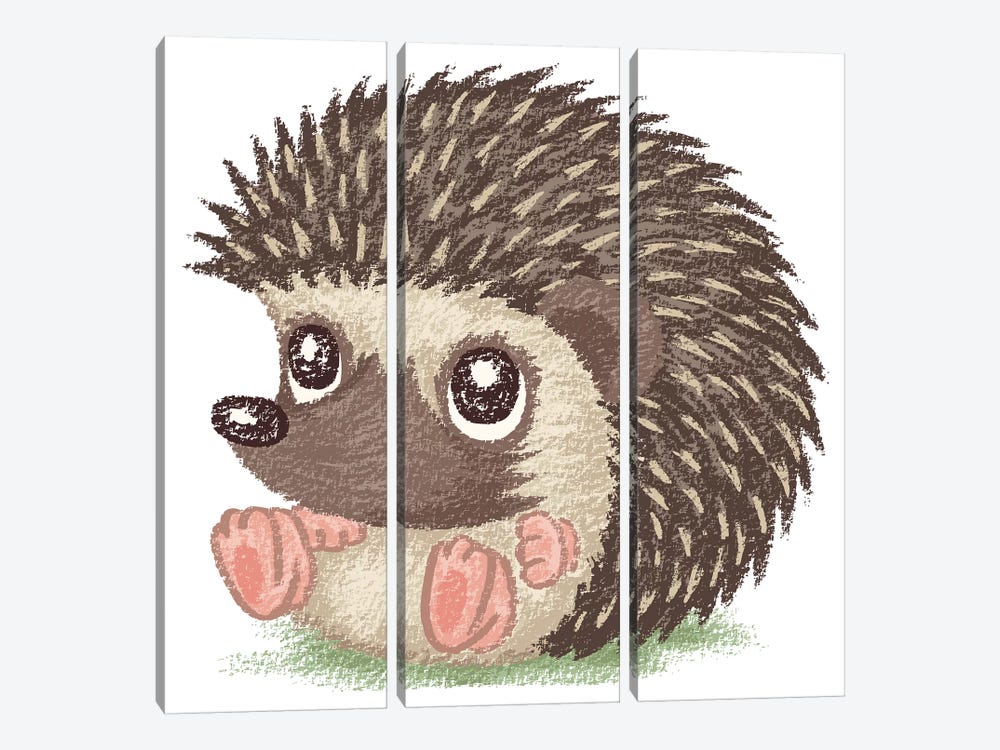 Round Hedgehog by Toru Sanogawa 3-piece Canvas Art Print