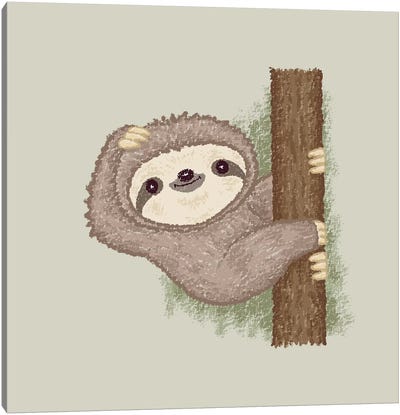 Shy Sloth Canvas Art Print - Sloth Art
