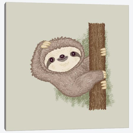 Shy Sloth Canvas Print #TSG118} by Toru Sanogawa Canvas Print