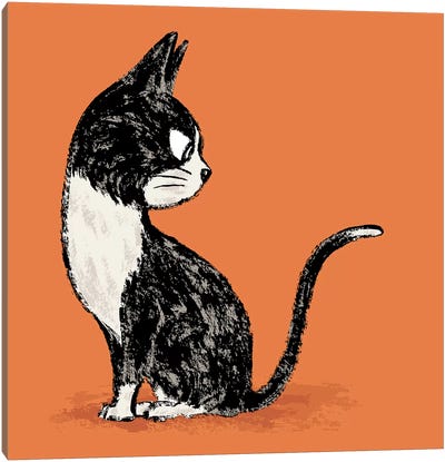 Black Cat Looking Back Canvas Art Print - Tuxedo Cat Art