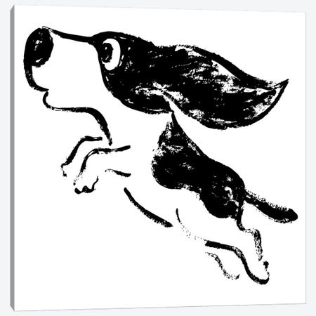 Sketch Of Dog Jump Canvas Print #TSG129} by Toru Sanogawa Canvas Art