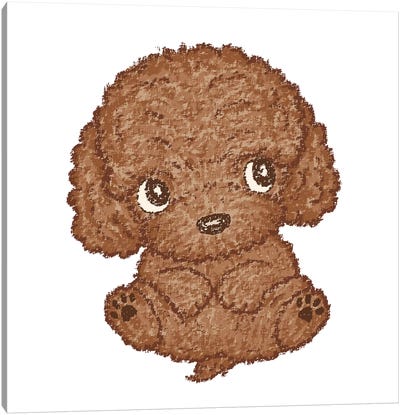 Toy-Poodle Cute Canvas Art Print - Poodle Art