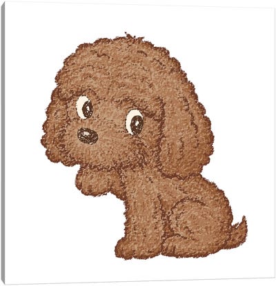 Toy-Poodle Sitting Canvas Art Print - Poodle Art