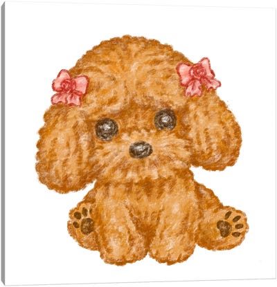 Toy Poodle With A Ribbon Canvas Art Print - Poodle Art