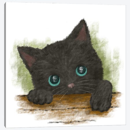 Black Cat With Blue Eyes Canvas Print #TSG175} by Toru Sanogawa Canvas Art