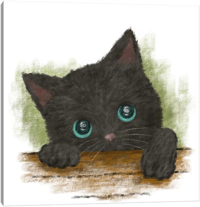 Black Cat With Blue Eyes Canvas Art Print - Toru Sanogawa