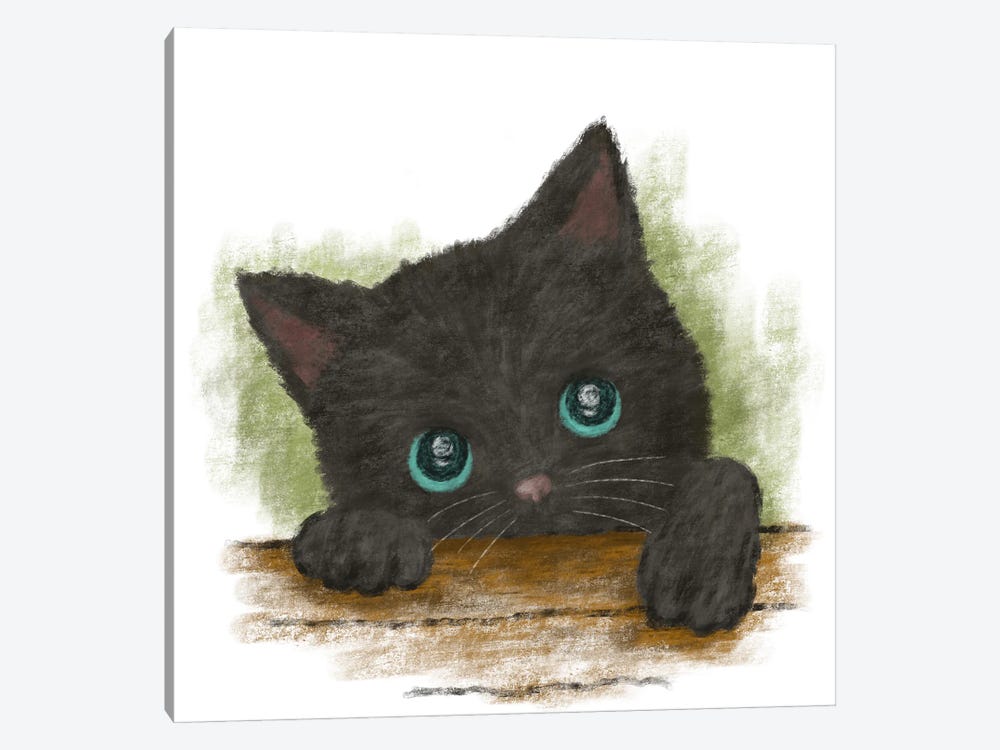 Black Cat With Blue Eyes by Toru Sanogawa 1-piece Canvas Art