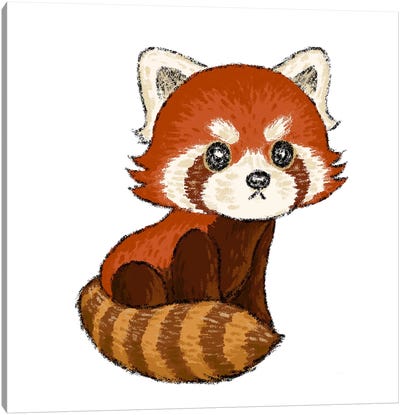 Handsome Red Panda Canvas Art Print - Red Panda Art