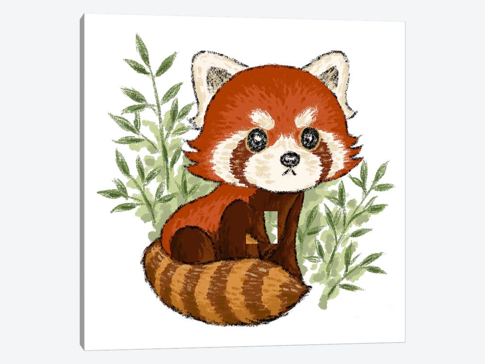Red Panda In Nature Canvas Toru Sanogawa | iCanvas