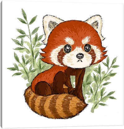 Red Panda In Nature Canvas Art Print - Red Panda Art