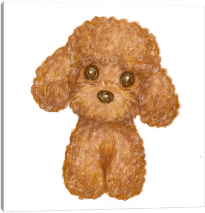 Toy Poodle Brush Drawing Canvas Art Print - Poodle Art