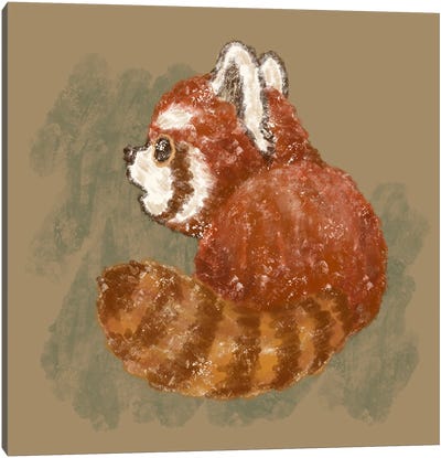 Back View Of Red Panda Canvas Art Print - Red Panda Art