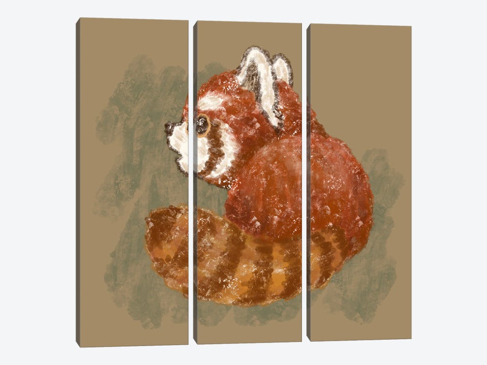 Back View Of Red Panda by Toru Sanogawa 3-piece Canvas Art Print