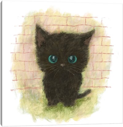 Black Cat With Blue Eyes Is Sitting There Canvas Art Print - Toru Sanogawa