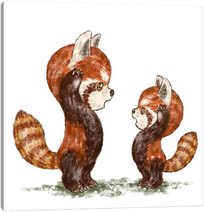 Red Pandas Facing Each Other Canvas Art Print - Red Panda Art