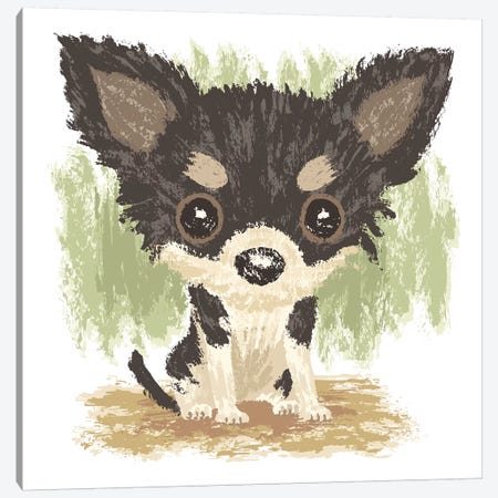 Chihuahua Is Sitting II Canvas Print #TSG29} by Toru Sanogawa Canvas Art Print