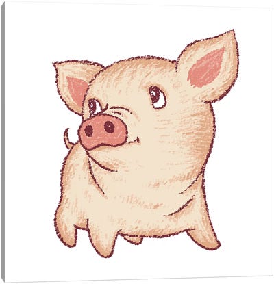 Cute Pig Looking Up Canvas Art Print - Toru Sanogawa