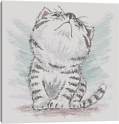 American Shorthair Which Is Looking Up At Empty Canvas Art Print