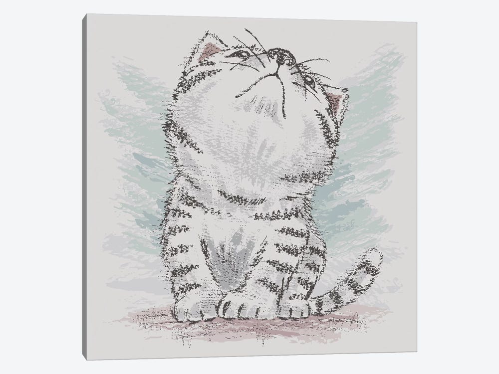 American Shorthair Which Is Looking Up At Empty by Toru Sanogawa 1-piece Canvas Art Print