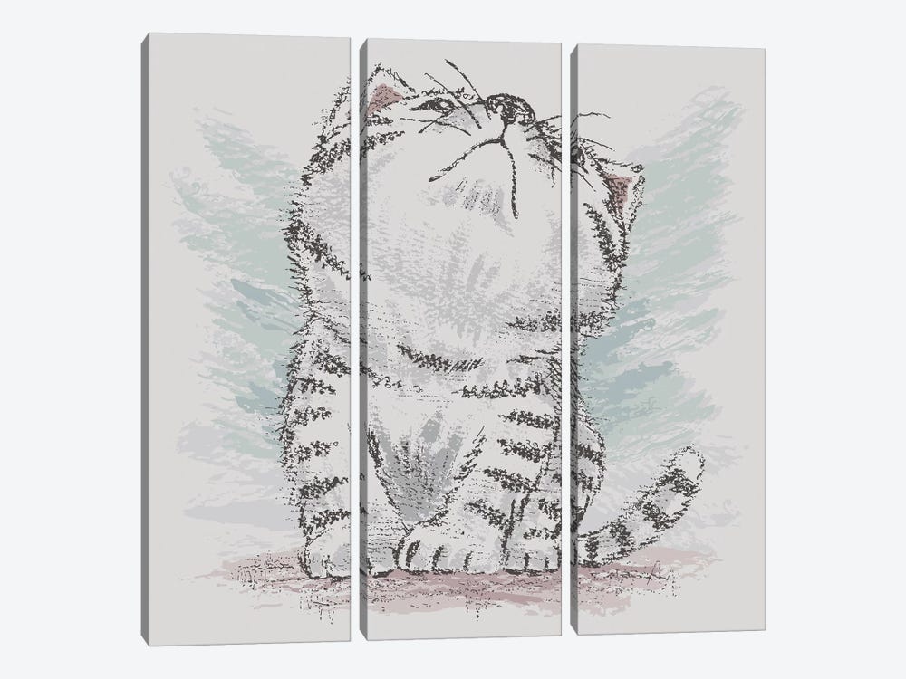 American Shorthair Which Is Looking Up At Empty by Toru Sanogawa 3-piece Canvas Print