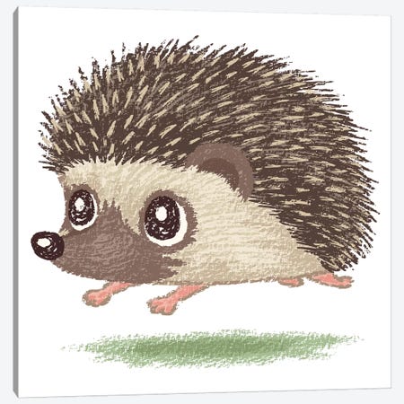 Hedgehog Running Canvas Print #TSG63} by Toru Sanogawa Art Print